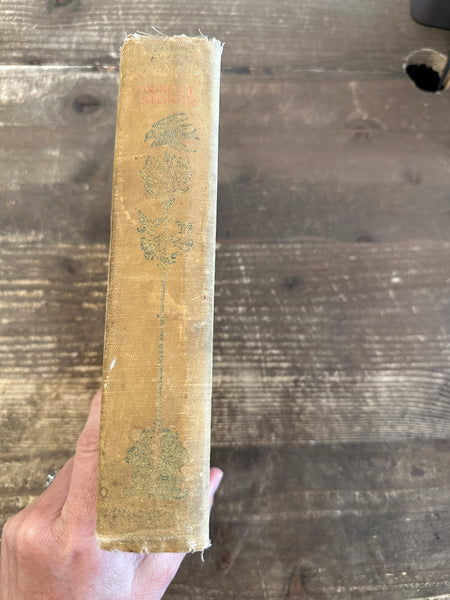 1903 Insect Stories spine