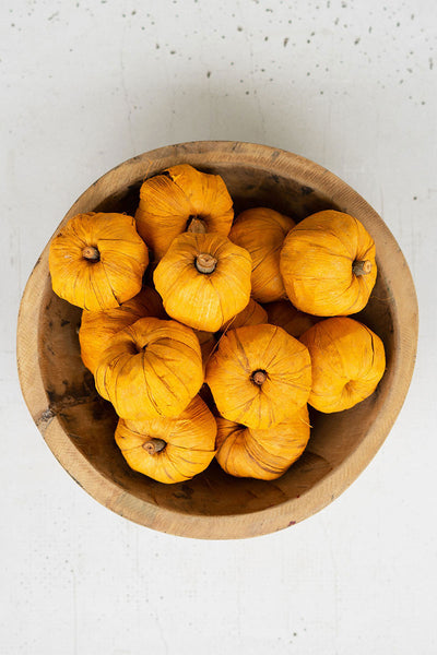 Bag of 15 Dried Miniature Faux Pumpkins