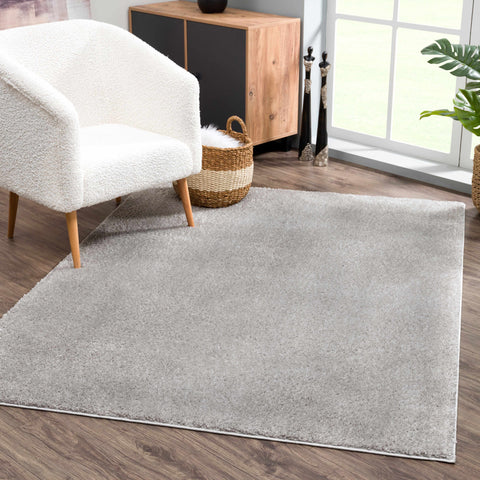 Judy Light Gray Washable Area Rug plush