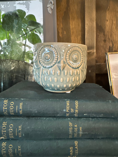 Stoneware Owl Pot