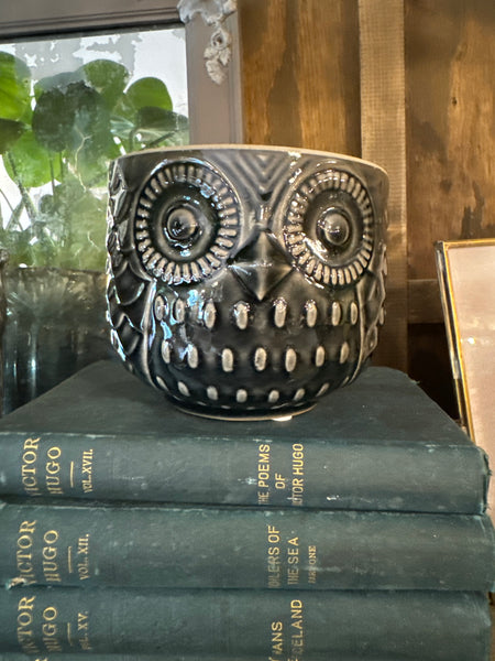 Stoneware Owl Pot