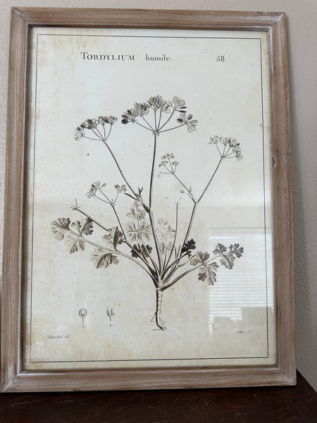 Framed Wall Decor with Botanical Print