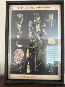 Framed Wall Decor with Botanicals