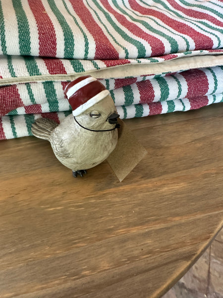 Bird with Striped Stocking Hat