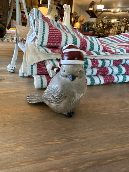 Bird with Striped Stocking Hat