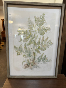 Wood Framed Glass Wall Décor w/ Botanical Print