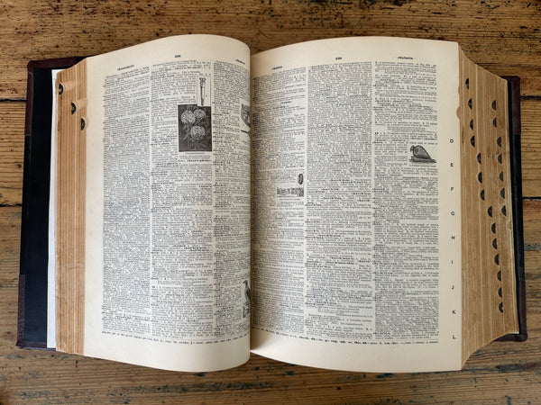 1897 Standard Dictionary inside pages