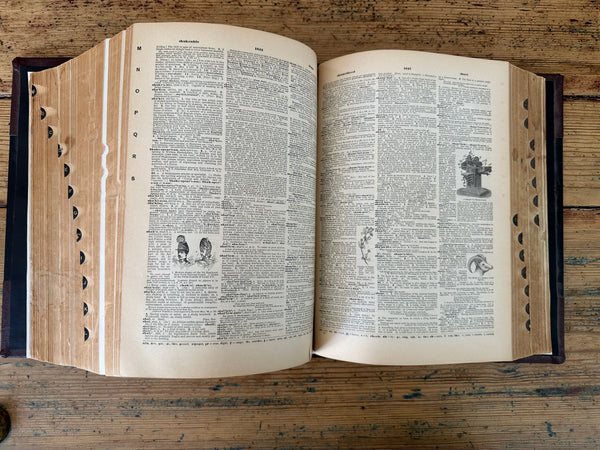 1897 Standard Dictionary inside pages