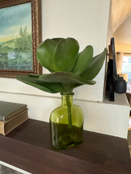 11" Faux Kalanchoe Paddle Stem