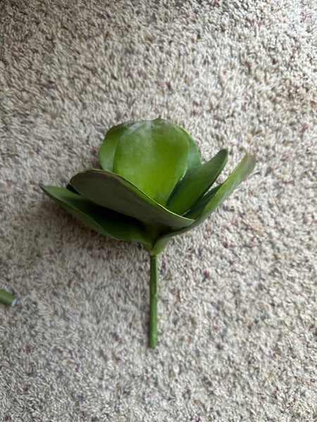 11" Faux Kalanchoe Paddle Stem