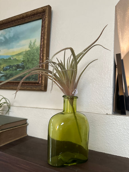 9" Faux Green/Red Airplant