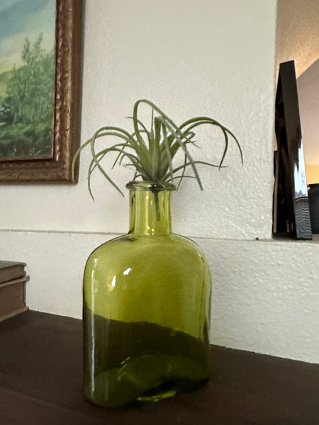 3" Faux Green Airplant