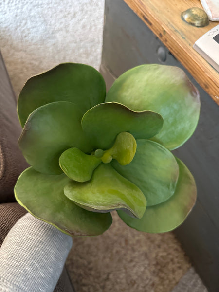 11" Faux Kalanchoe Paddle Stem