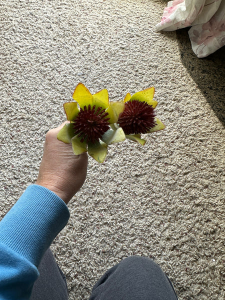 22" Faux Thistle Stem