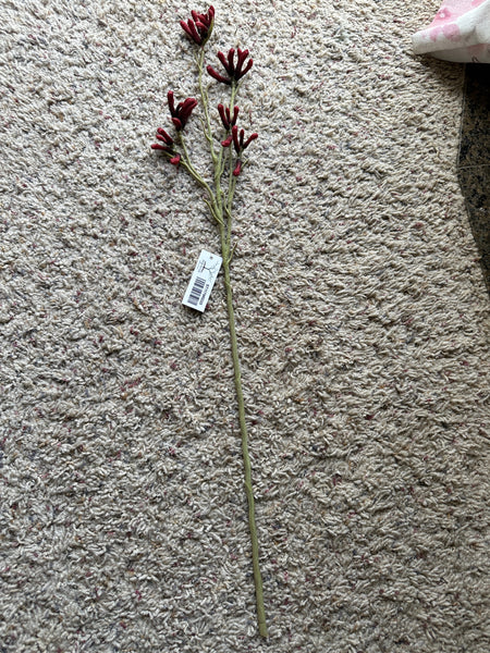 26" Faux Kangaroo Paw Stem