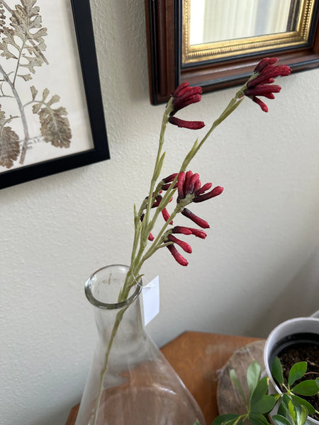 26" Faux Kangaroo Paw Stem