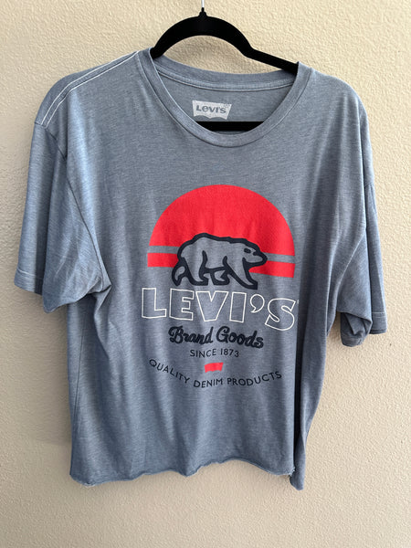 Levi's Blue Graphic T-Shirt