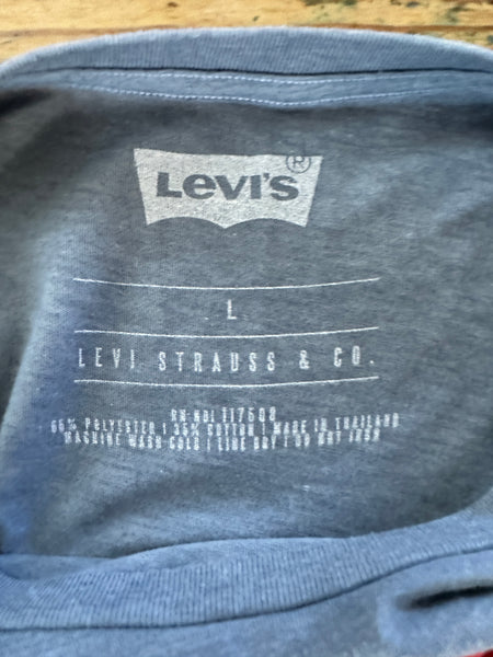 Levi's Blue Graphic T-Shirt