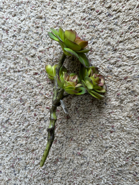 10"Faux Multi Head Echeveria Stem