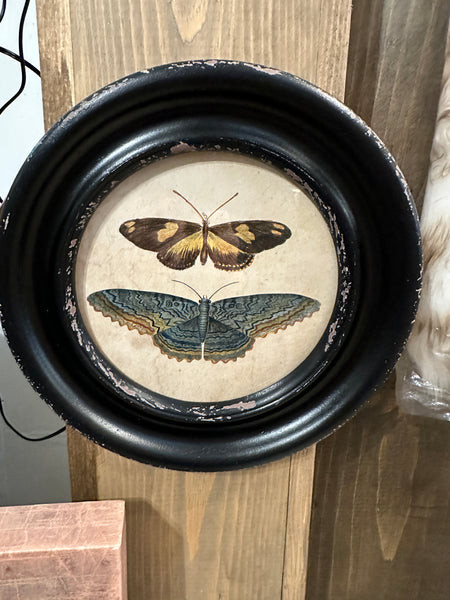 Framed Wall Decor with Moths/Butterflies