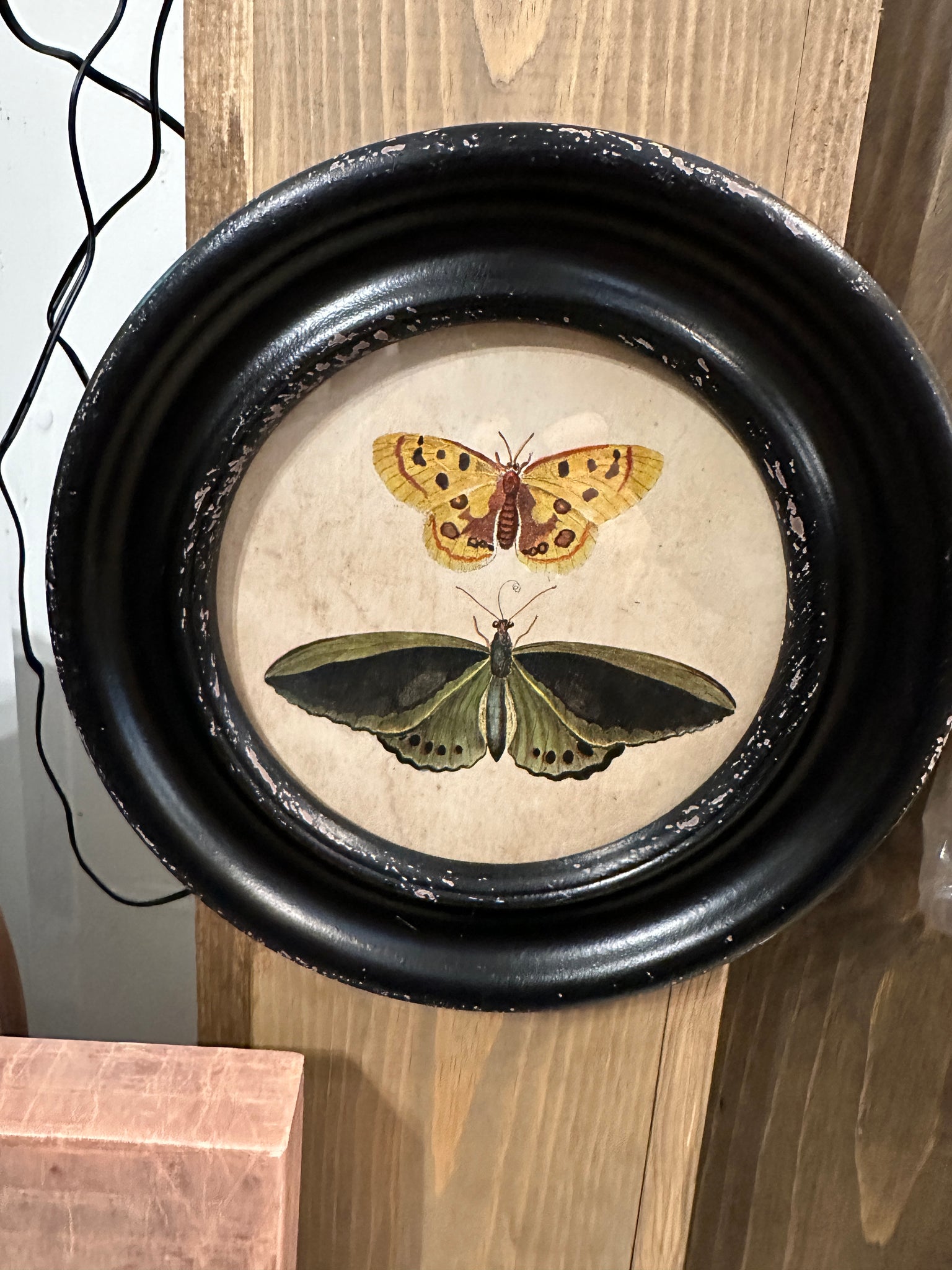 Framed Wall Decor with Moths/Butterflies
