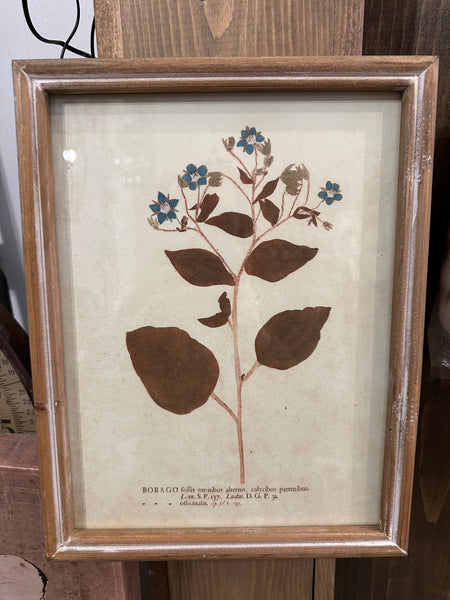 Wood Framed Glass Wall Décor w/ Botanical*