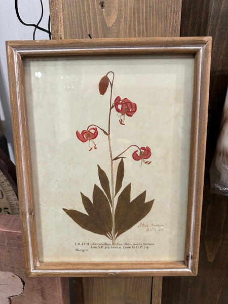 Wood Framed Glass Wall Décor w/ Botanical*