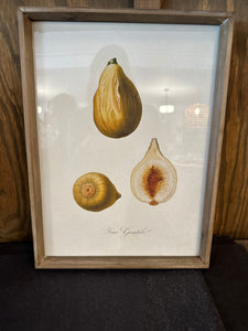 Wood Framed Glass Wall Décor w/ Vintage Reproduction Fruit Image