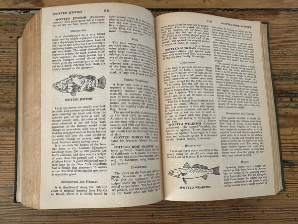 1951 The Wise Fishermen's Encyclopedia pages 1132-1133