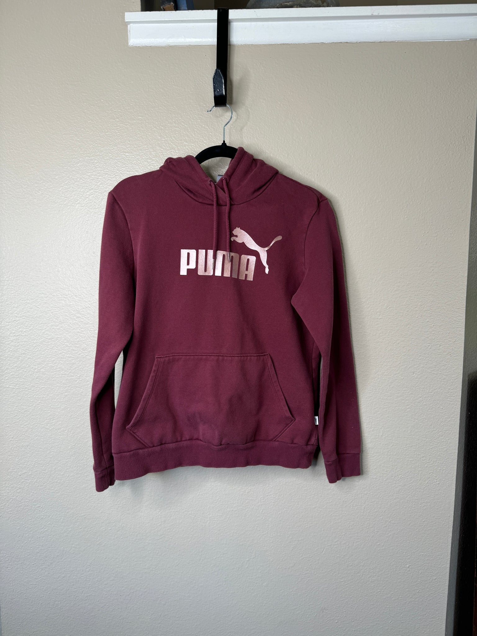 Puma Women's Maroon Hoodie