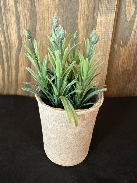 Faux Succulent in Paper Pot