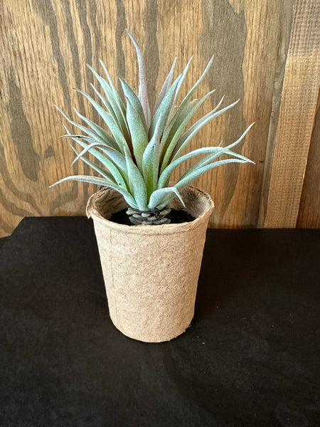 Faux Succulent in Paper Pot