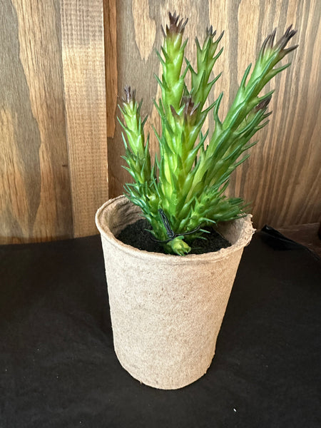 Faux Succulent in Paper Pot