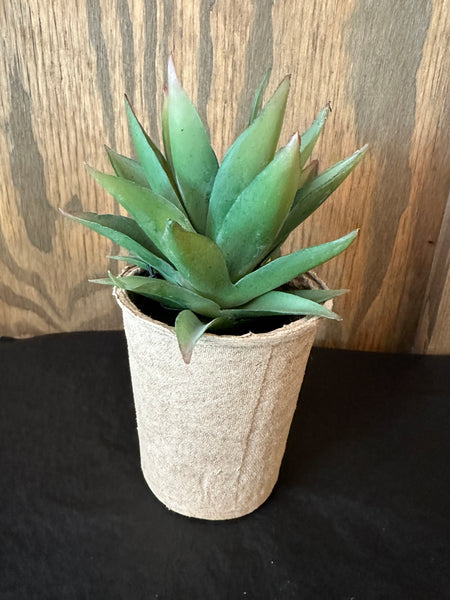 Faux Succulent in Paper Pot