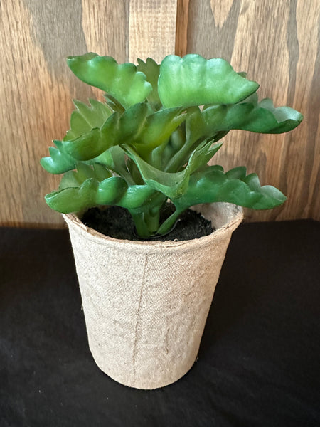 Faux Succulent in Paper Pot