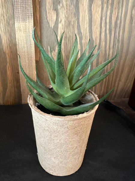 Faux Succulent in Paper Pot