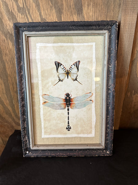 Framed Wall Decor with Insect Print