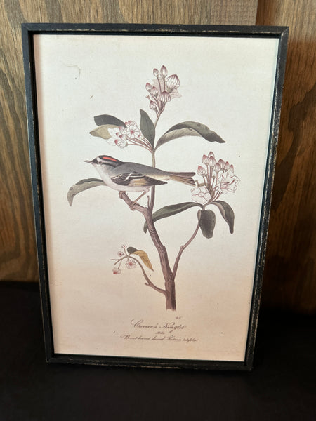 Framed Wall Decor with Bird and Flower