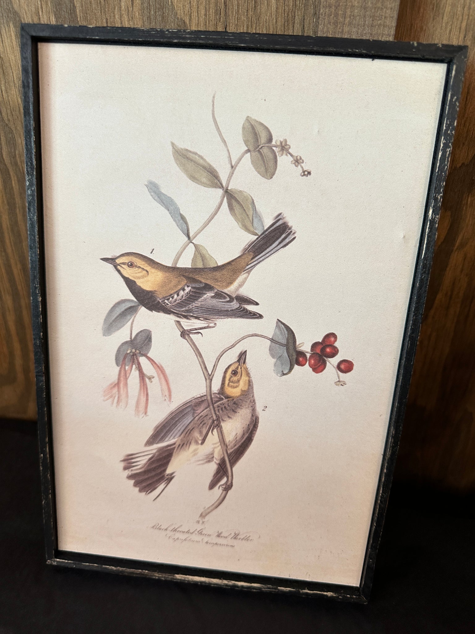 Framed Wall Decor with Bird and Flower