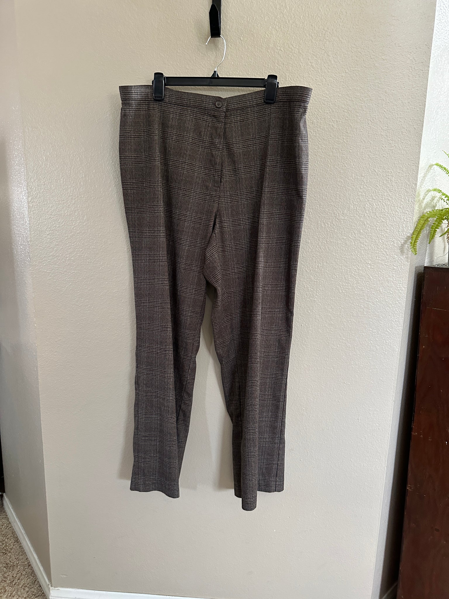 Focus 2000 Women's Pants