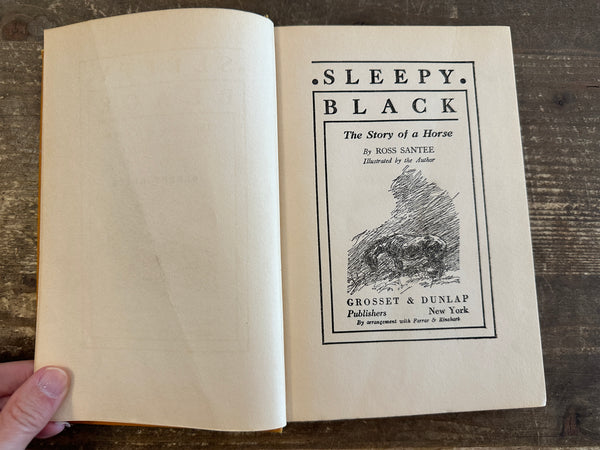 1933 Sleepy Black title page