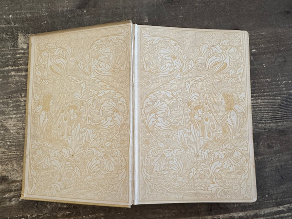 1903 Insect Stories inside cover