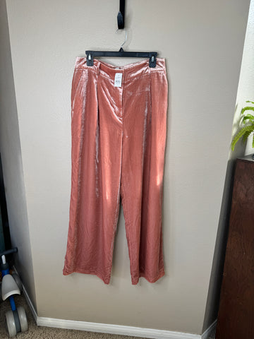 Loft Women's Pink Velvet Pants-NWT