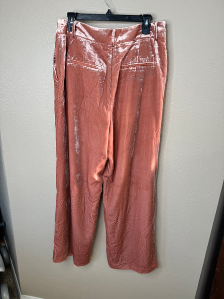 Loft Women's Pink Velvet Pants-NWT