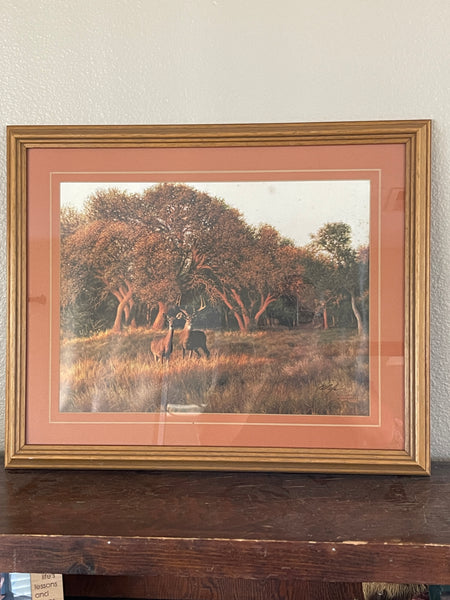 Vintage Signed Lithograph Print Deer in Field