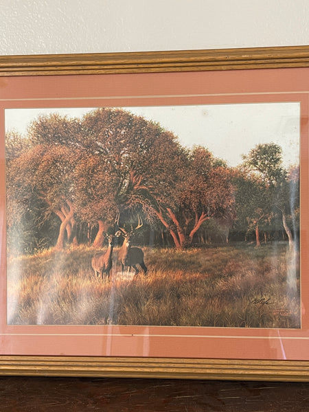 Vintage Signed Lithograph Print Deer in Field closeup