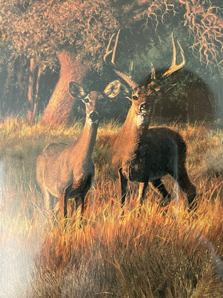Vintage Signed Lithograph Print Deer in Field deer closeup