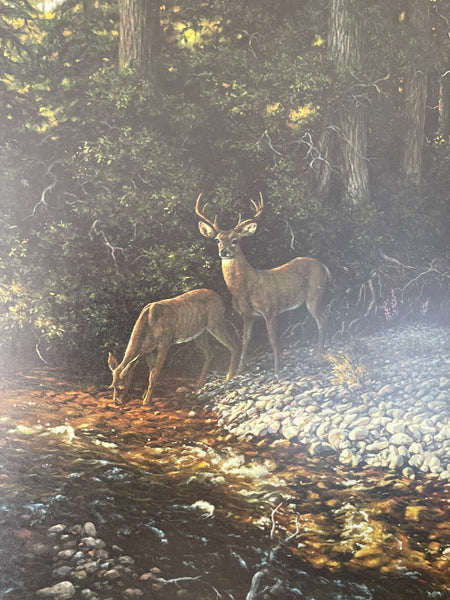 Signed Lithograph Psalms 24 1 Deer in Forest by Larry Dyke closeup on deer