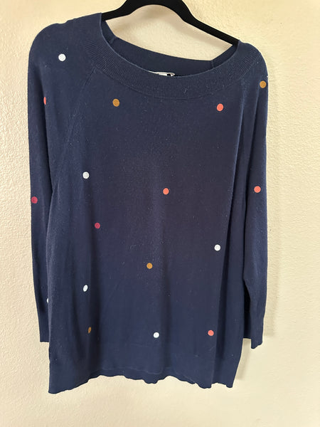 Loft Navy Blue Sweater