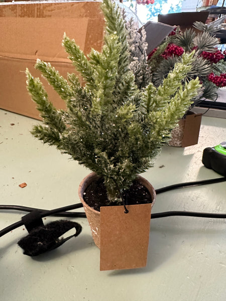 Faux Evergreen Tree in Paper Pot